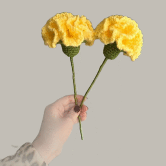 Yellow Carnation Flower