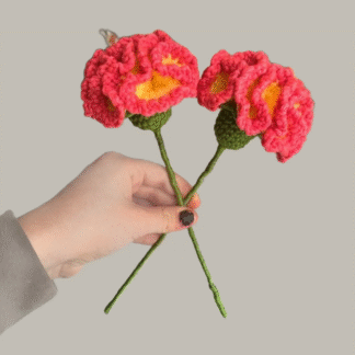 Yellow & Red Carnation Flower