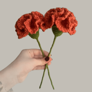 Rust Carnation Flower