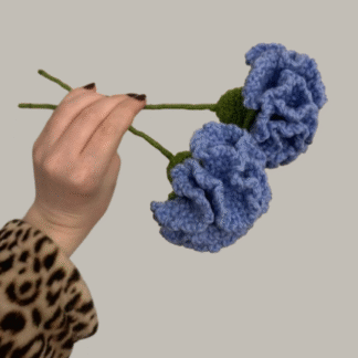 Blue Carnation Flower