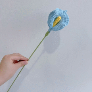 Blue Calla Lily