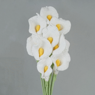 White Calla Lily