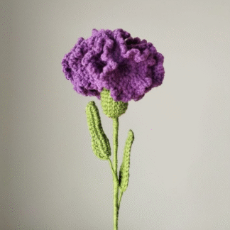 Lavender Carnation Flower