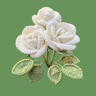 White Rose Flower