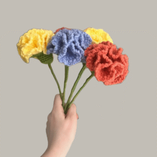 Carnations Flowers