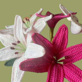 Pink Lily Flower