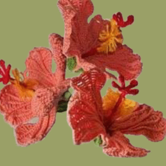 Orange Peach Hibiscus Flower