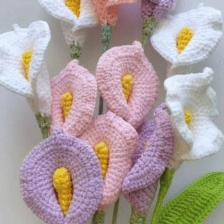 Calla Lily Flowers