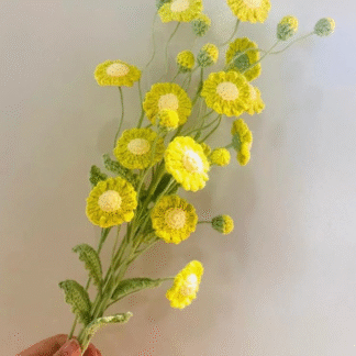 Lime Green Daisy Flower