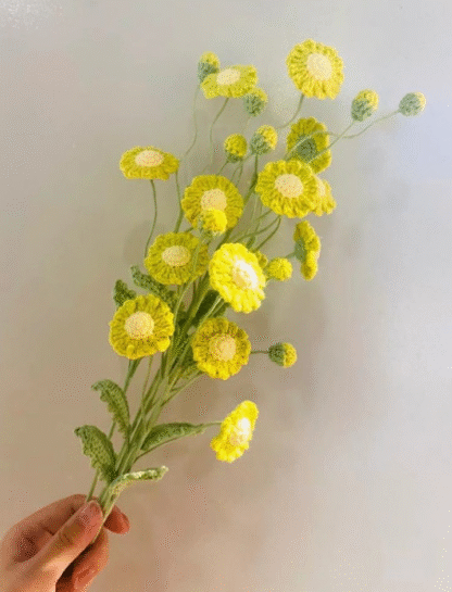 Lime Green Daisy Flower
