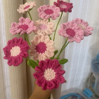 Pink Daisy Flower