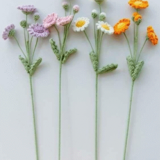 Daisy Flowers