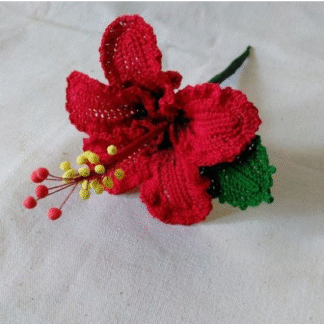 Red Hibiscus Flower
