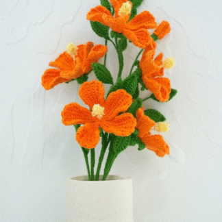 Orange Hibiscus Flower
