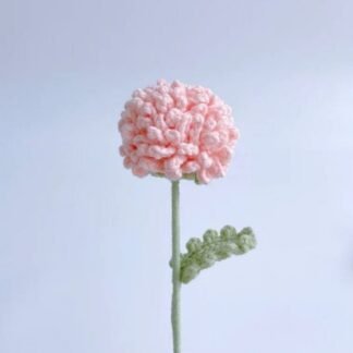 Pink Ping Pang Flower